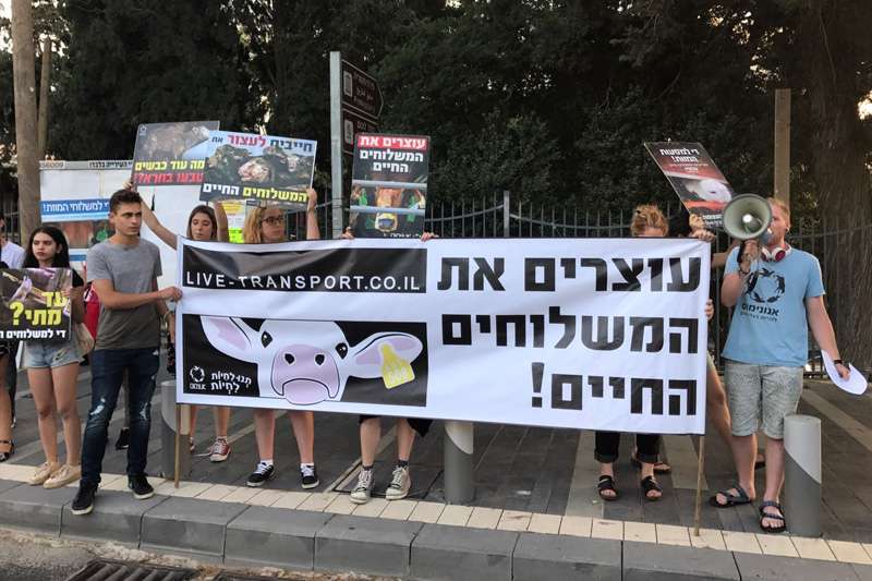 היום הבינלאומי נגד משלוחים חיים, הפגנה בגן האם | צילום: רדיו חיפה