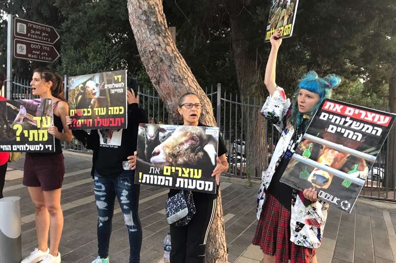 היום הבינלאומי נגד משלוחים חיים, הפגנה בגן האם | צילום: רדיו חיפה