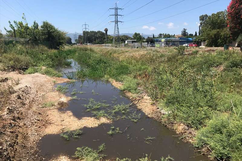 אירוע זיהום נחל גדורה | צילום: אלון בן-מאיר, רשות נחל הקישון