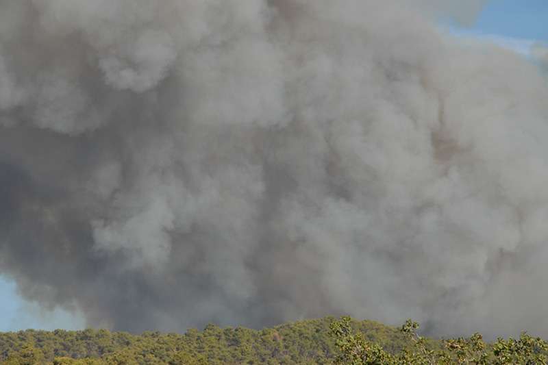 פטריית עשן מעל מלון יערות הכרמל, אסון הכרמל 2010 | צילום: מאיר בן סירא