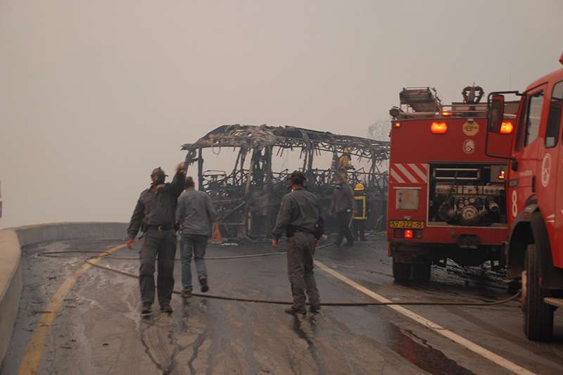 אוטובוס הצוערים, אסון הכרמל 2010 | צילום: מאיר בן סירא