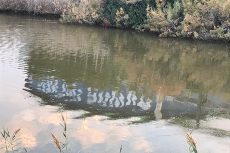 נחל הקישון | צילום: אלון בן מאיר, רשות נחל הקישון