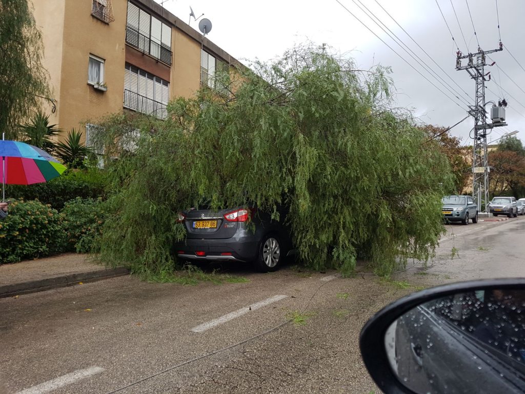 ×™×•×ž×Ÿ ×—×•×¨×£ ×›×œ ×