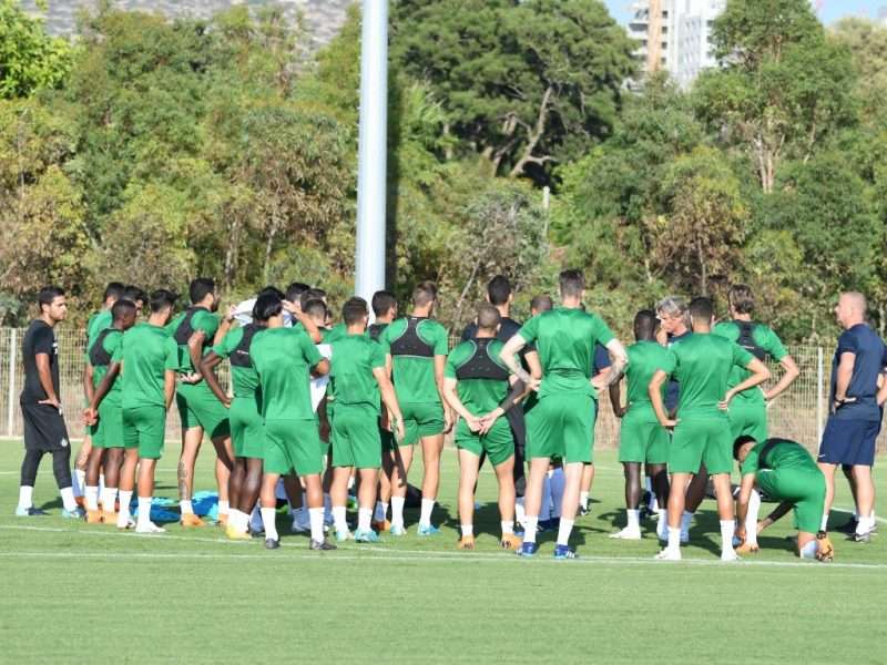 צילום: מכבי חיפה האתר הרשמי