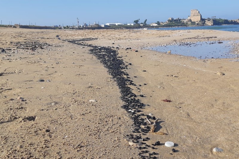 זיהום הזפת בחופים | צילום: המשרד להגנת הסביבה