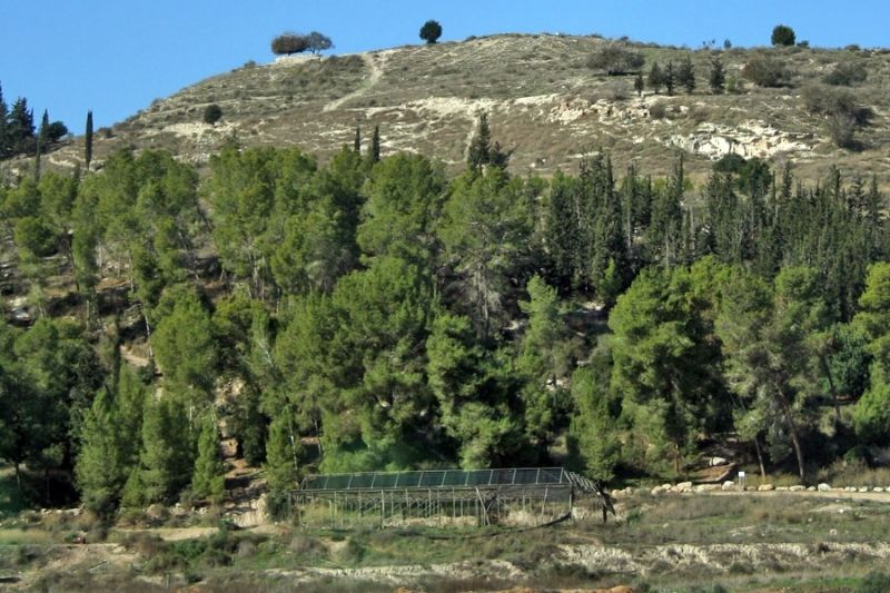 פארק בריטניה | צילום: תמר הירדני, ויקיפדיה