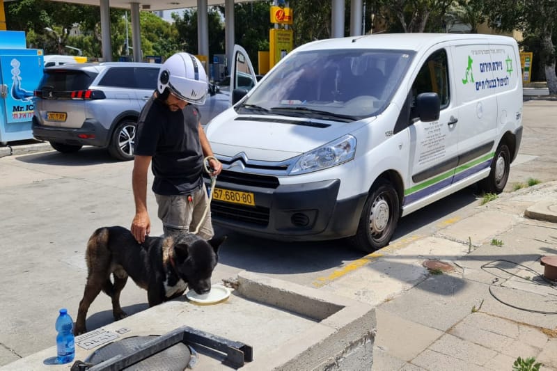 צוות החילוץ והכלב | צילום: דוברות עיריית חיפה