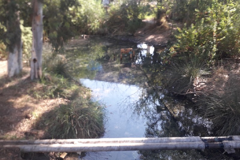 נחל סעדיה | צילום: המשרד להגנת הסביבה