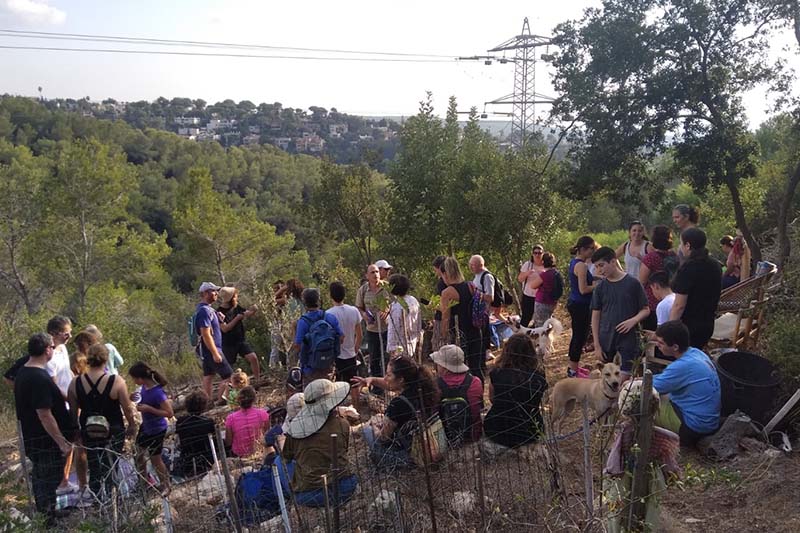 פעילות הקואליציה לטבע עירוני ובינוי שפוי | צילום: ענבל חן-ברגב