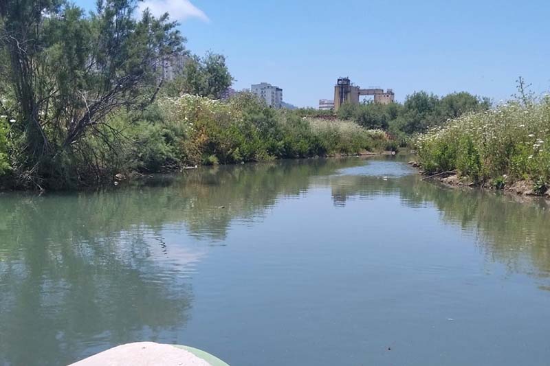 פעילות הקואליציה לטבע עירוני ובינוי שפוי | צילום: ענבל חן-ברגב