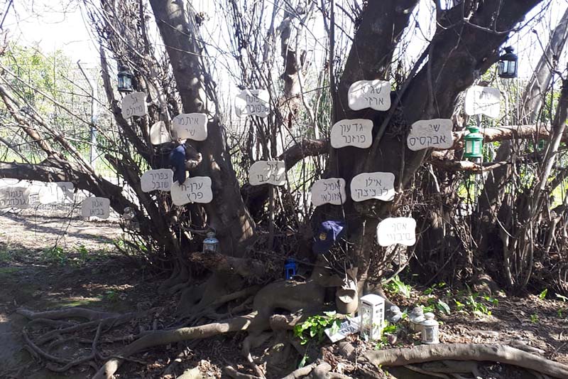 העץ עם שמות הנספים באסון | צילום: אלבום משפחתי
