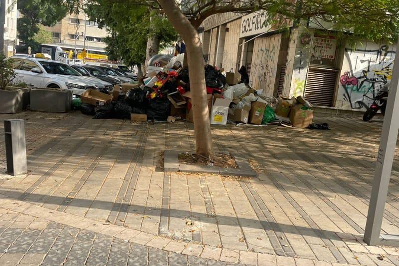 נזקי השביתה בעיריית חיפה | צילום: שירות רדיו חיפה