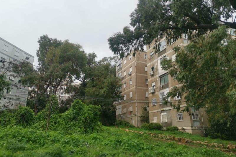 רחוב אורן | צילום: שירות רדיו חיפה
